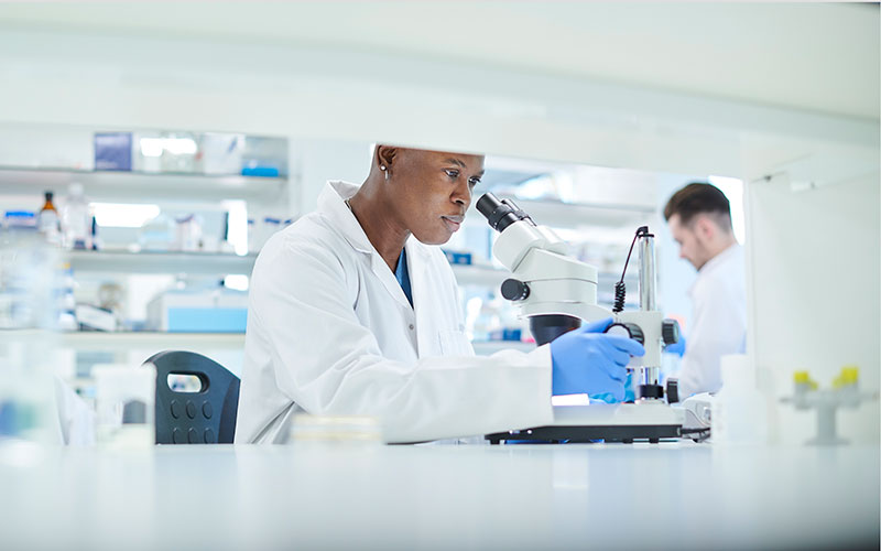 scientist and other highly qualified professions included in new visa