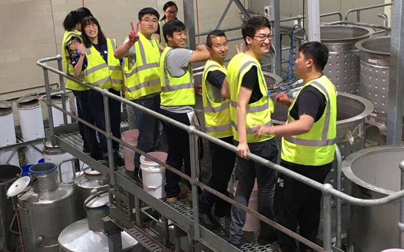 winemaking, Chinese students, Australia