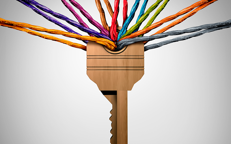 Diversity: Shutterstock Diversity: Shutterstock