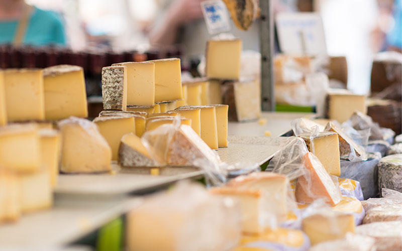 cheese tasting job