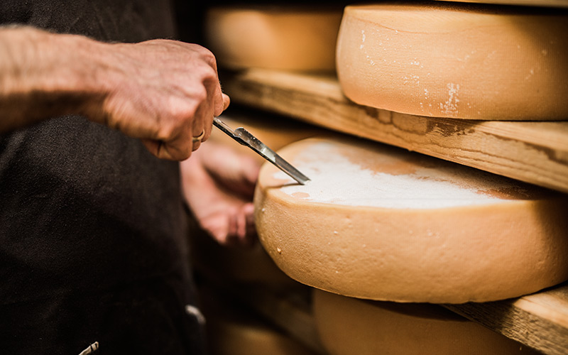 cheese
