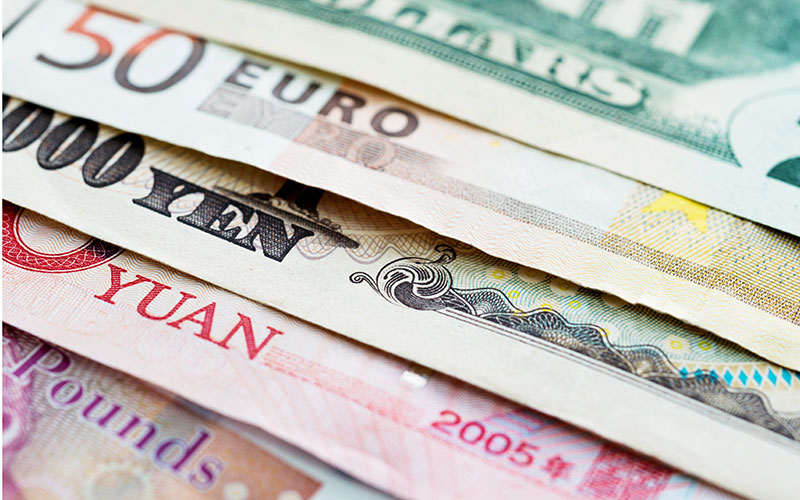 Hays global profits