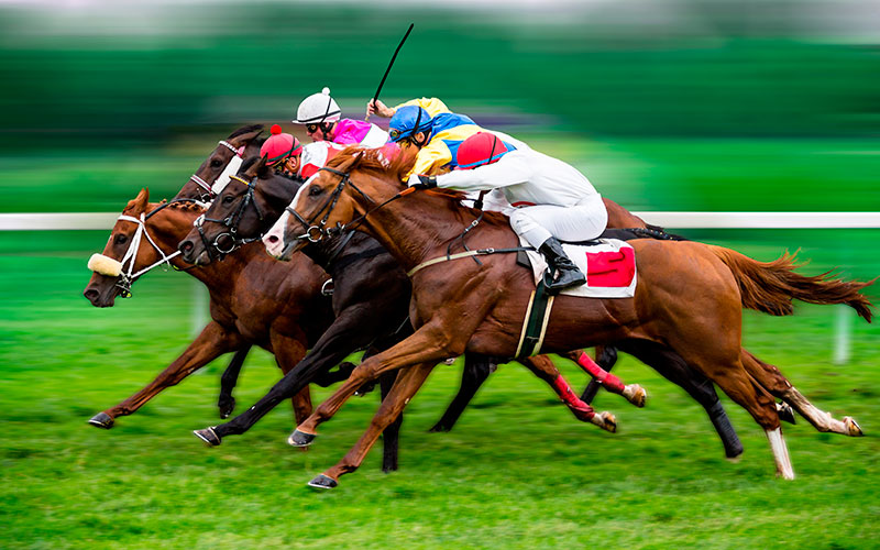 horse racing