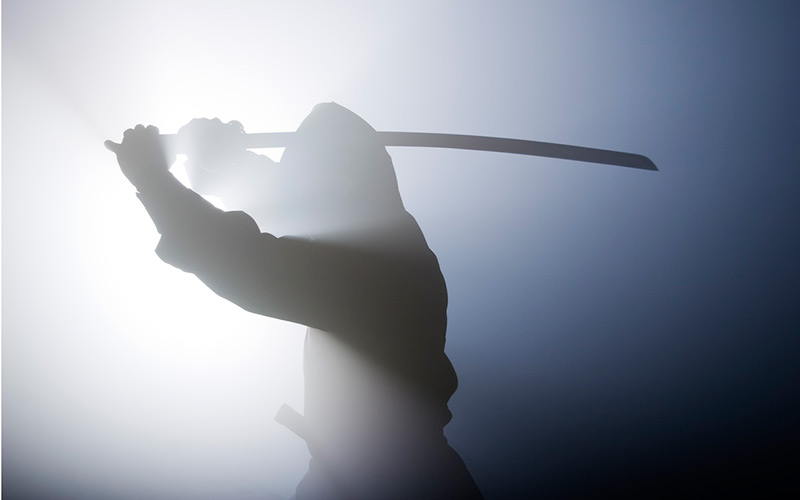 Ninja warrior