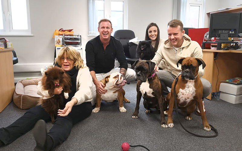 Red Eagle office dogs