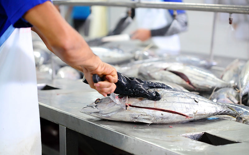 seafood processing work, GLAA, gangmaster