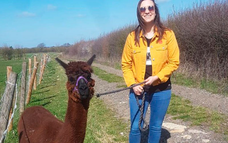 Beebee the alpaca and Leigha