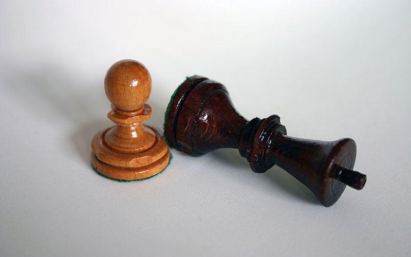 HMRC bows down to contractor's two legal eagles