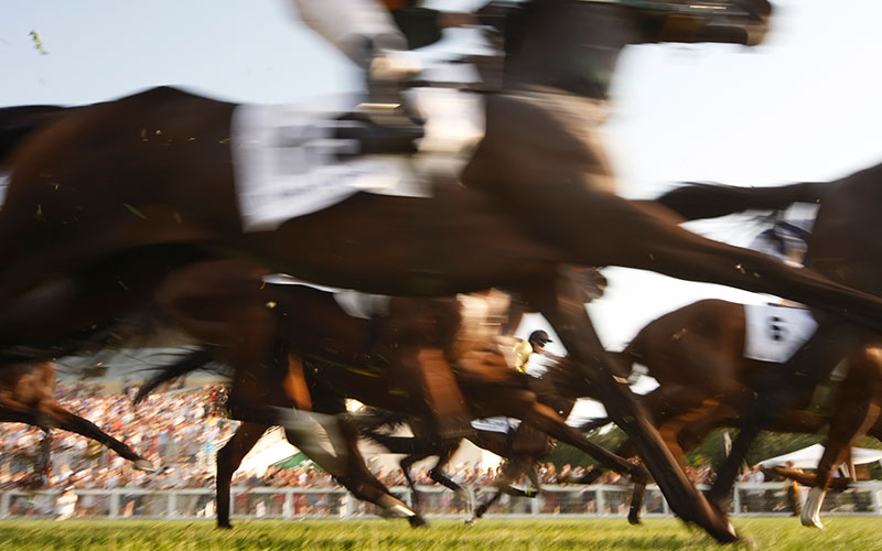 horse racing pic