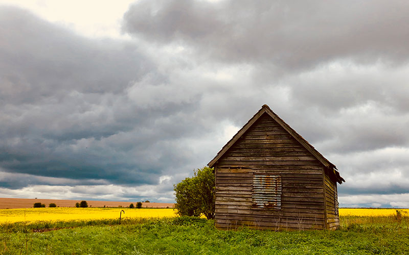 man living in a shed for 40 years