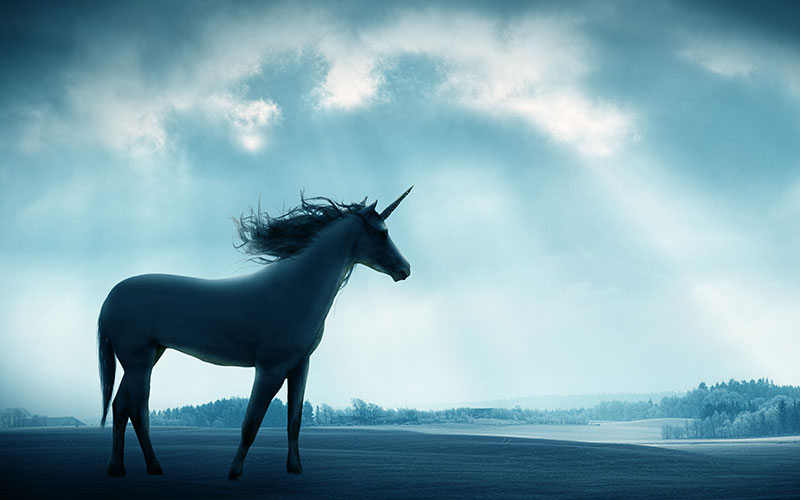 unicorn visa proposal