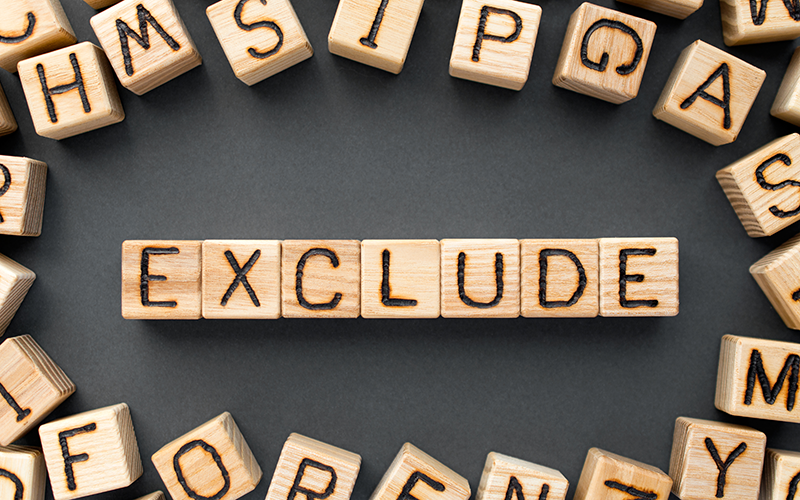 limited company directors excluded from government financials support